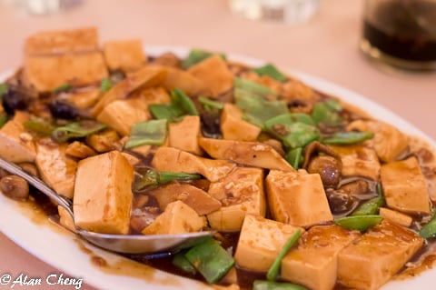 Braised Tofu